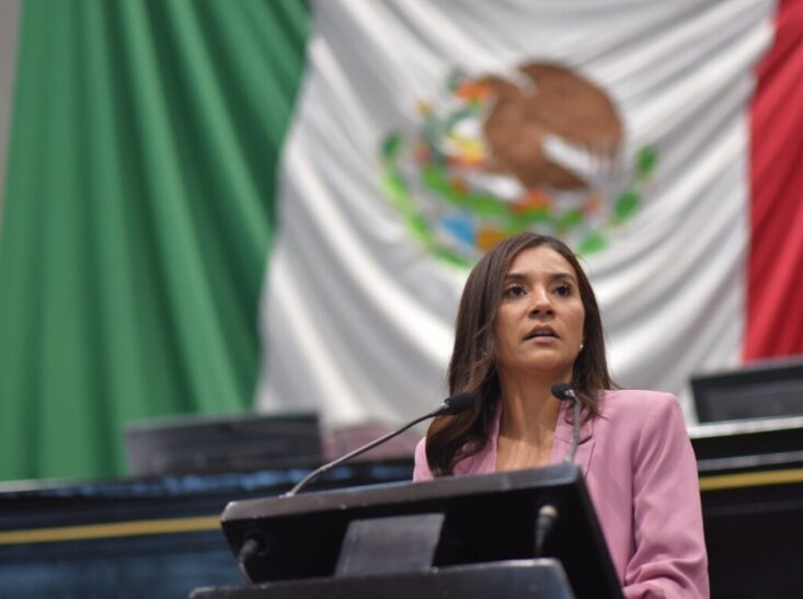 Exige la diputada Alicia Delfín frenar ecocidio en el Papaloapan y rescatar a familias de enfermos con cáncer